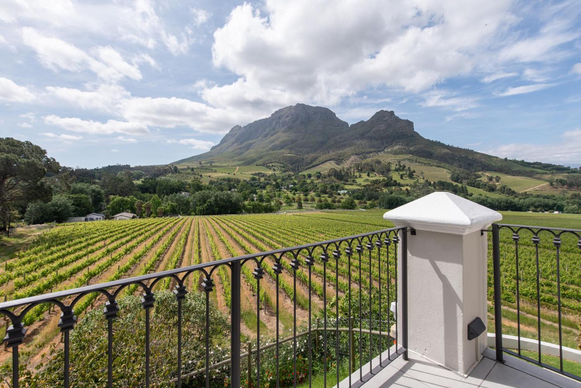 Banhoek Lodge Στέλενμπος Εξωτερικό φωτογραφία