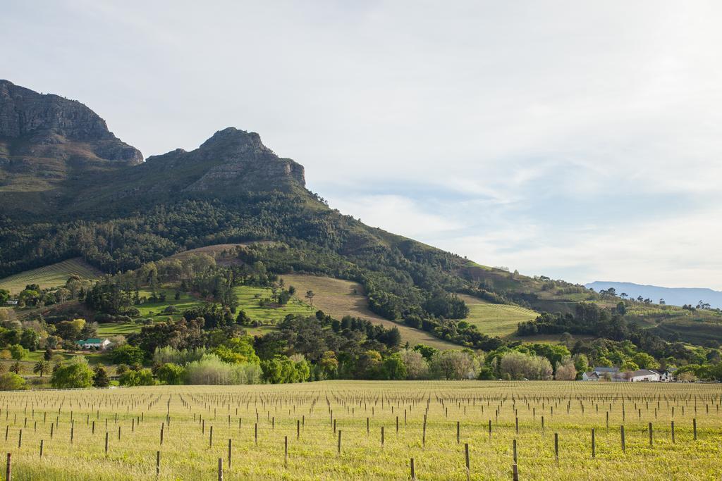 Banhoek Lodge Στέλενμπος Εξωτερικό φωτογραφία